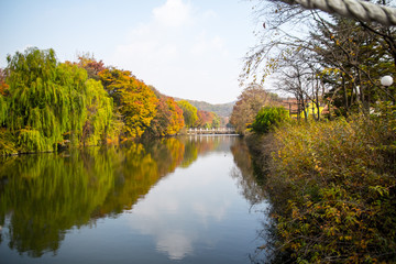 Beautiful pond scenery in Korea