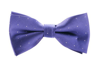 blue with white polka dots bow tie