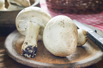 Freshly picked champignon mushrooms on rustic plate
