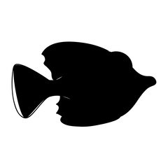 fish cartoon icon image vector illustration design