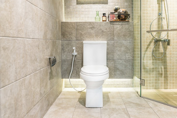 White toilet bowl in modern bathroom at hotel. Interior of toile