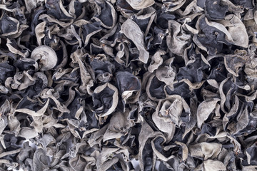 Dried chinese black fungus for food ingredient background