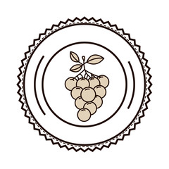 silhouette monochrome of dish with grapes vector illustration