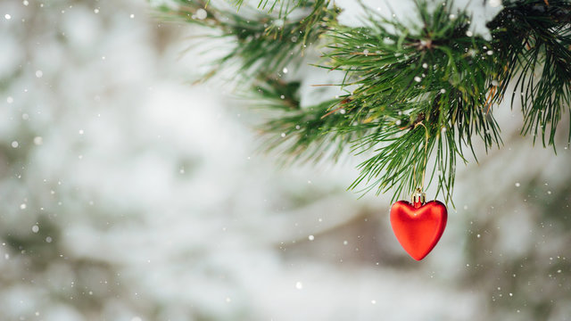 Card with red heart christmas decoration on pine branch