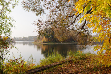 Fototapeta premium autumn landscape on the river autumn morning. Belarus