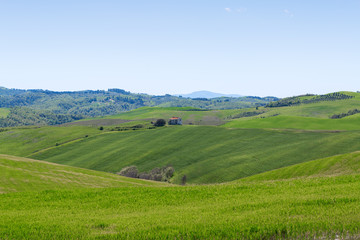 Fototapeta na wymiar Typical Tuscany landscape springtime