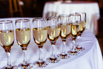 Closeup of glasses of champagne in a row on a table champagne, celebrate, cheer, cocktail, glasses