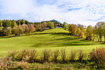 Fototapeta na wymiar Beautiful landscape of valley in Alpine mountains, small houses in Austria, rural scene, majestic picturesque view. Cows and ecology Europe landscape. 