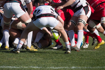 Rugby players in action