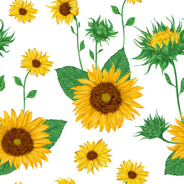 Seamless pattern with sunflowers. Collection decorative floral design elements. Flowers, buds and leaf. Isolated elements. Vintage hand drawn vector illustration in watercolor style.