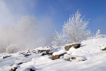 winter landscape
