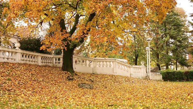 park with colorful trees autumn season