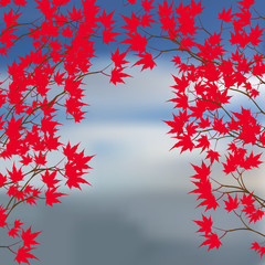 Greeting card of the autumn landscape. Red maple leaves on the branches on either side. Japanese red maple on a background of the sea illustration
