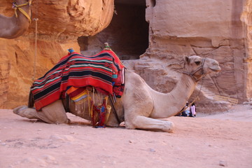 Weltwunder Petra Jordanien