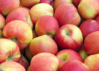 Red and yellow organic apples background