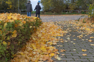 Fototapeta premium ein Mann verfolgt eine Frau allein im Herbst