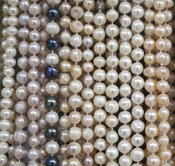 Stand with new necklaces of  pearls