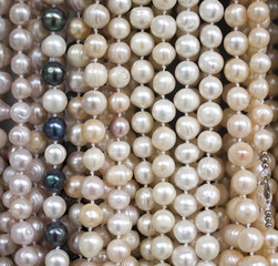 Stand with new necklaces of pearls
