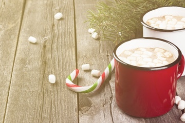 Cup of hot cocoa with marshmallows on a dark background. Toning