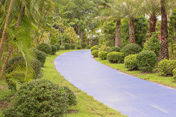 Walkway in park