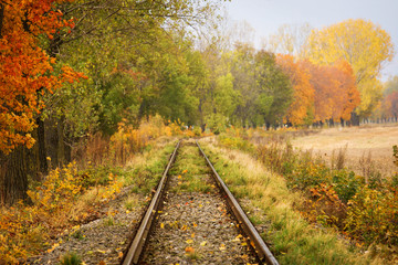 Railroad track curve around the bend and out of sight through tr