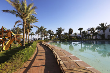 Palms behind the sea