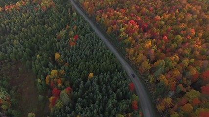 Survol du trajet d’une voiture dans la foret canadienne