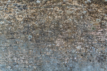 texture 3
