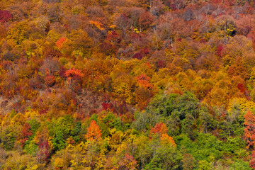 Fototapeta premium Colorful autumnal landscape