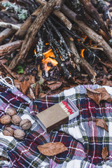 Rest at a fire in the forest