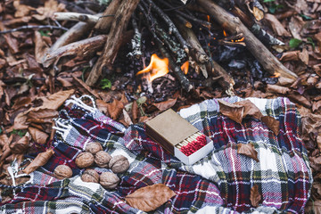 Fototapeta na wymiar Rest at a fire in the forest