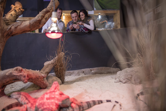 Young man with down syndrome and family at reptile exhibition