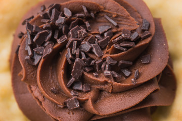 tasty chocolate cake