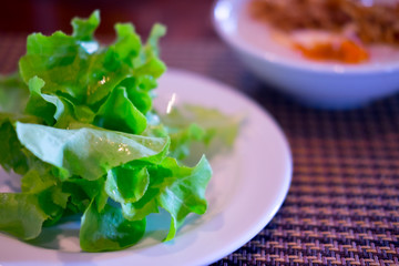 Fresh vegetable salad with green oak