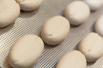 raw plain buns in a bakery