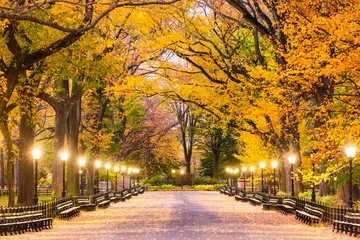 Foto auf Acrylglas Central Park Central Park in New York City. Morgendämmerung im Herbst auf der Mall.