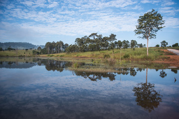 Trees and lake in savannah with blue sky