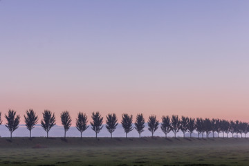 the blue hour before sunrise in the Dutch landscape