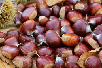 Châtaignes et bogues