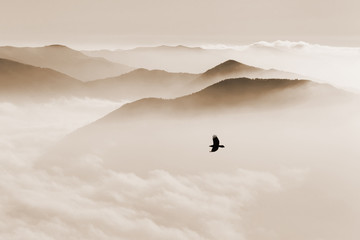 Sylwetki gór we mgle i ptak latający w sepii - 126546735