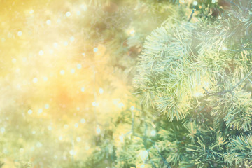 Naklejka premium christmas tree with bokeh light background