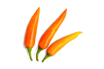 Orangr hot chili pepper isolated on a white background