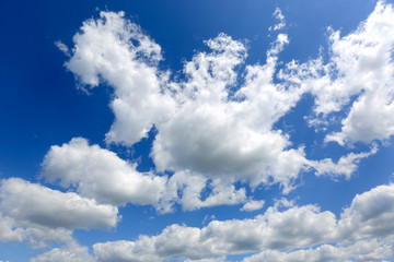Naklejka na ściany i meble clouds in blue summer sky
