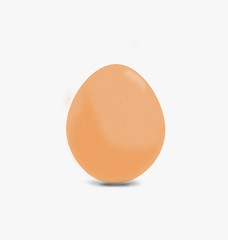 Egg on white background