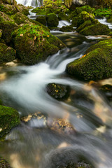 Fototapeta na wymiar A rapid mountain creek running deep in a dense forest
