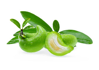 Garcinia schomburgkiana Pierre on white background