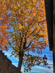 autunno a Saluzzo
