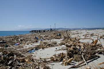 spiaggia sporca