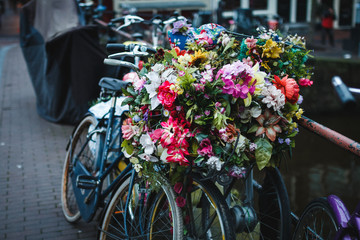 Fototapeta na wymiar Amsterdam Fahrrad