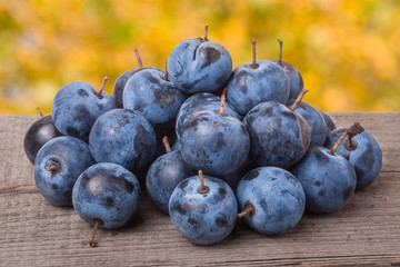 heap of blackthorn berries on a wooden table blurred garden background